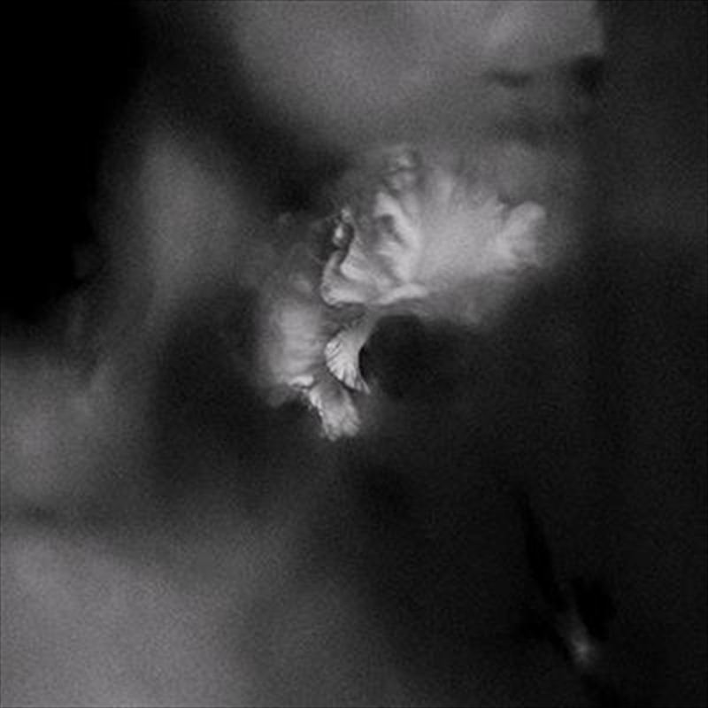 Holding Absence/Product Detail/Rock