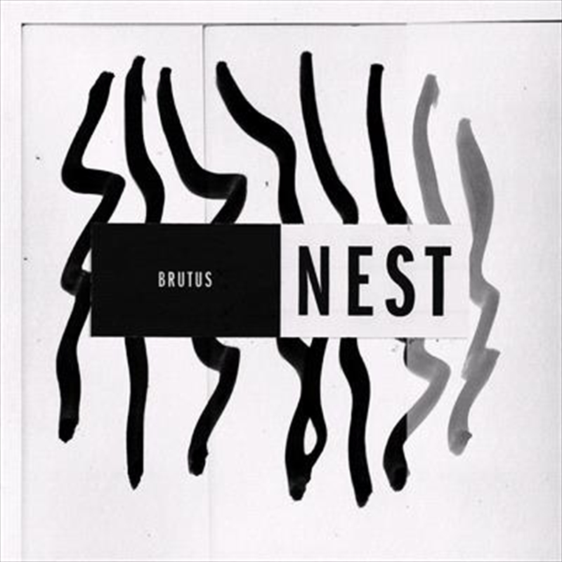 Nest/Product Detail/Rock