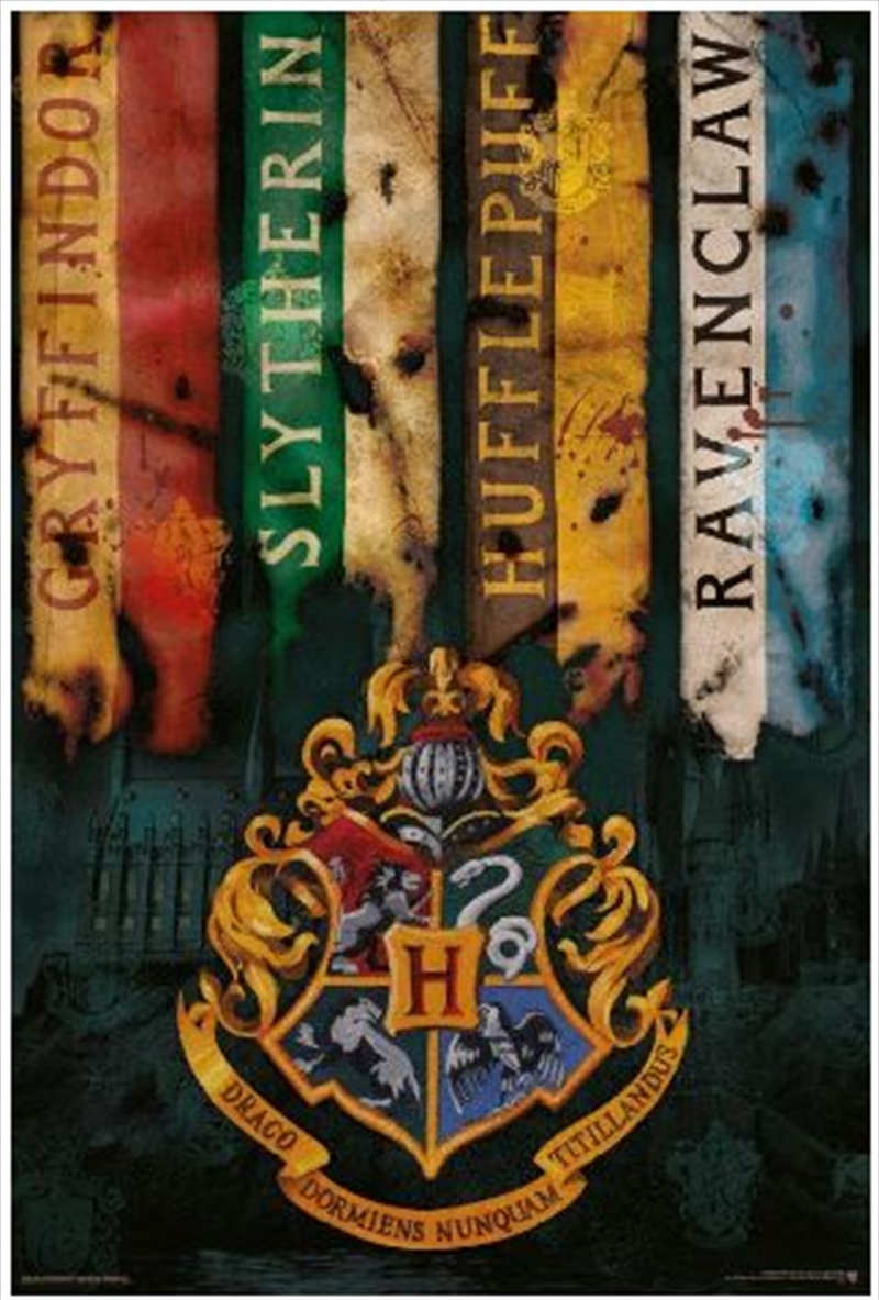 Harry Potter - House Flags/Product Detail/Posters & Prints
