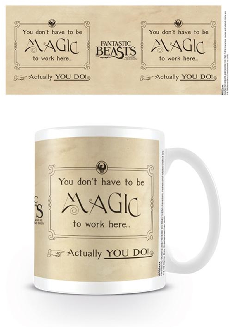 Fantastic Beasts - Magic | Merchandise