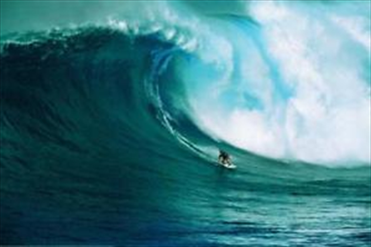 Let's Go Surfing/Product Detail/Posters & Prints