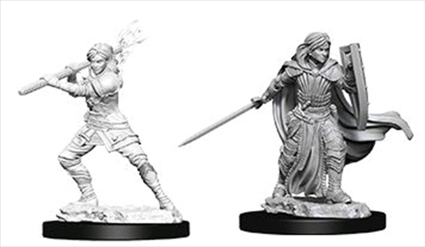 Dungeons & Dragons - Nolzur’s Marvelous Unpainted Minis: Female Human Paladin/Product Detail/RPG Games