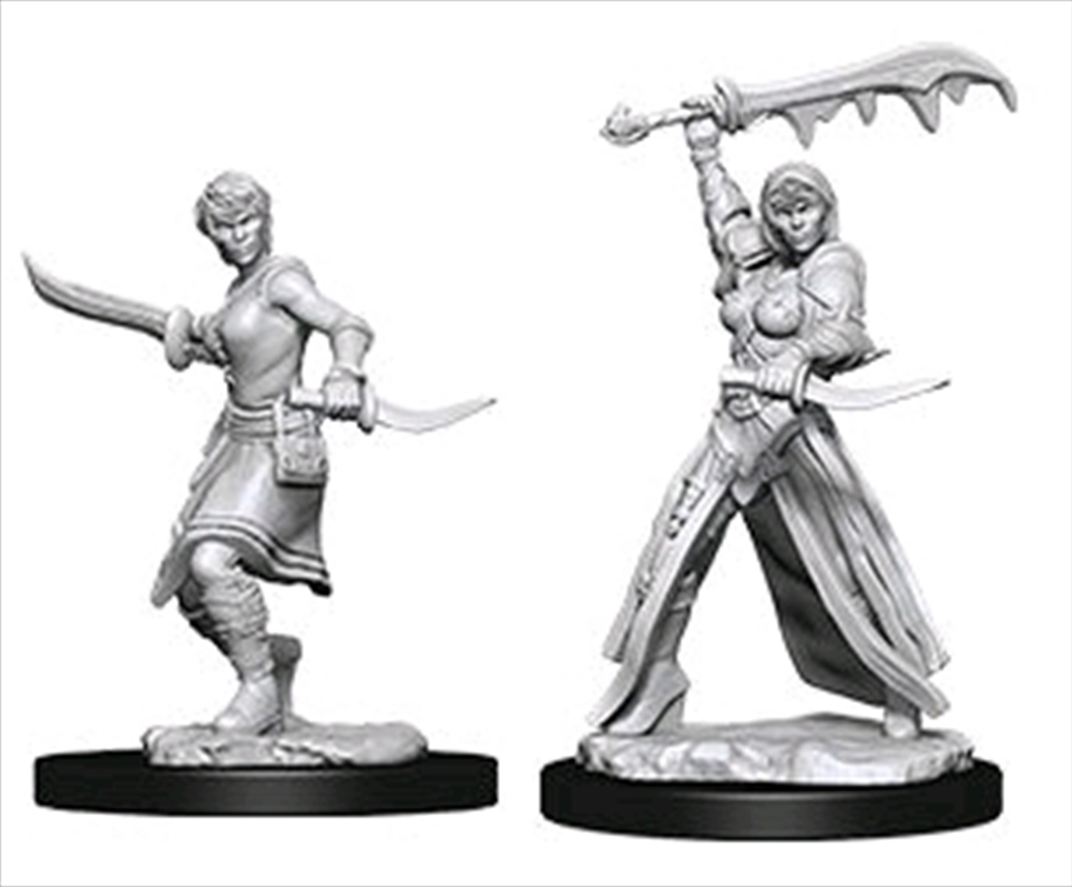 Dungeons & Dragons - Nolzur’s Marvelous Unpainted Minis: Female Human Rogue/Product Detail/RPG Games