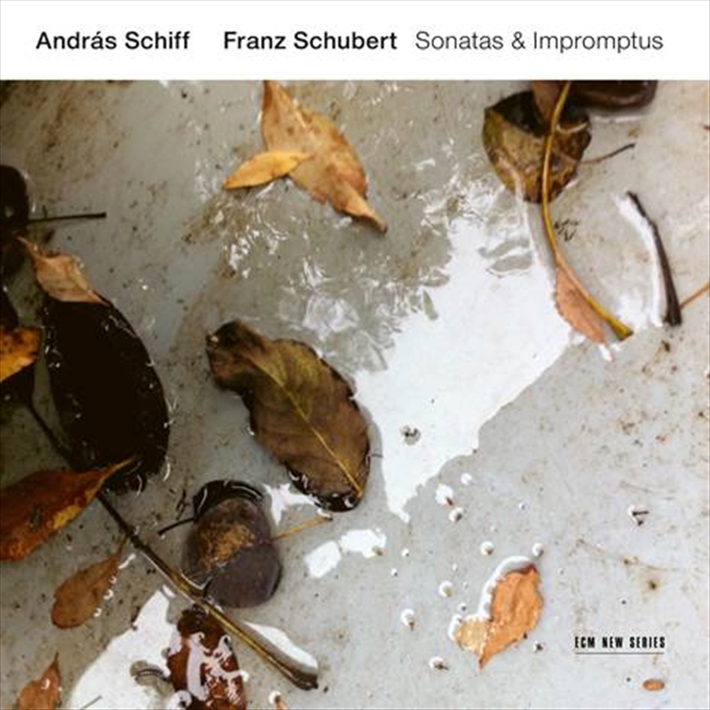 Franz Schubert - Sonatas And Impromptus/Product Detail/Classical