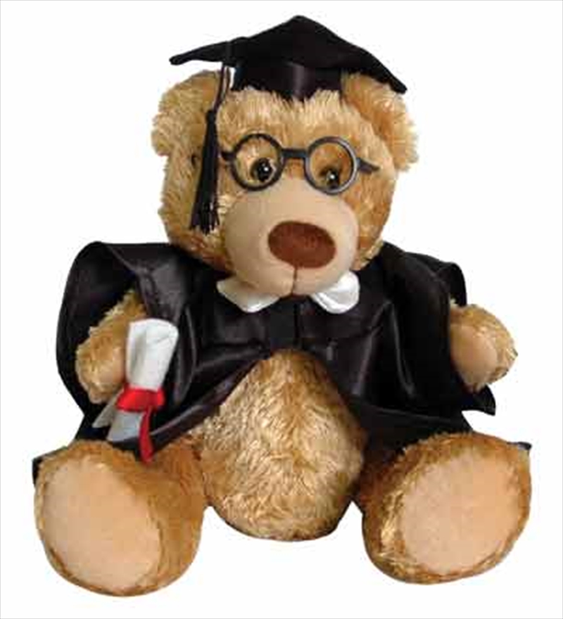 20cm Graduation Bear/Product Detail/Plush Toys