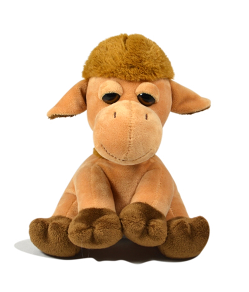 18cm Sitting Camel/Product Detail/Plush Toys