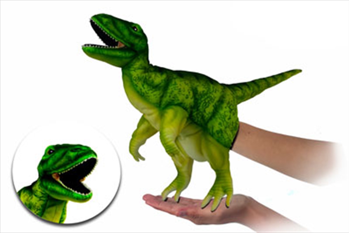 Tyrannosaurus Rex Puppet 50cm/Product Detail/Plush Toys