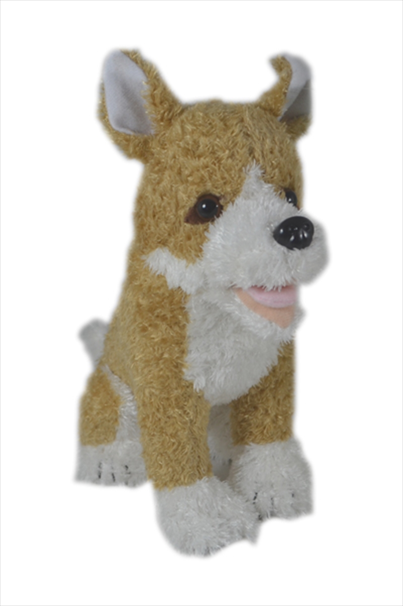 18cm Dingo/Product Detail/Plush Toys
