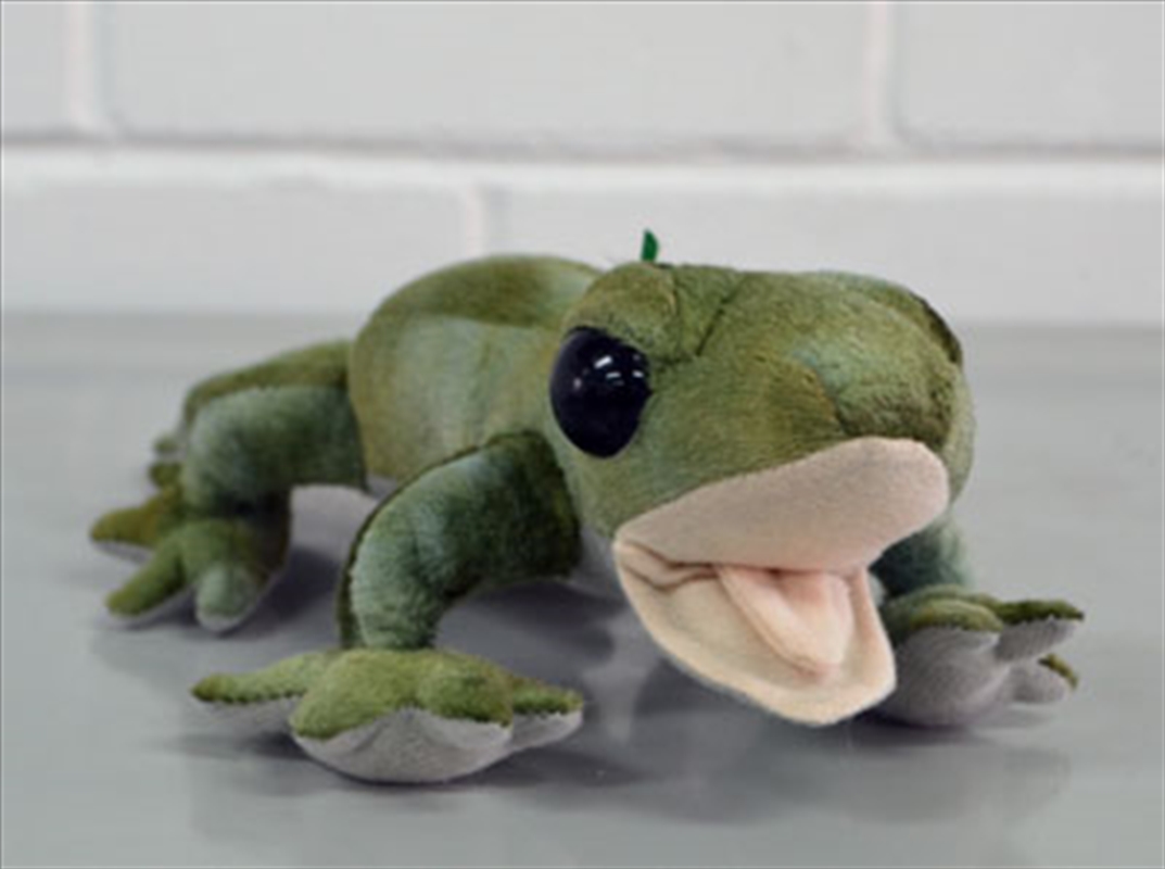 25cm Gecko Green/Product Detail/Plush Toys