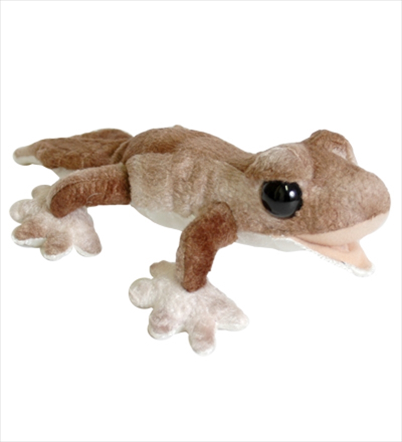 25cm Gecko Brown/Product Detail/Plush Toys