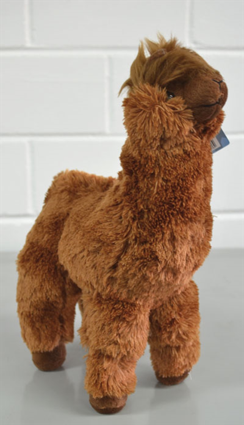 20cm Alpaca Brown/Product Detail/Plush Toys