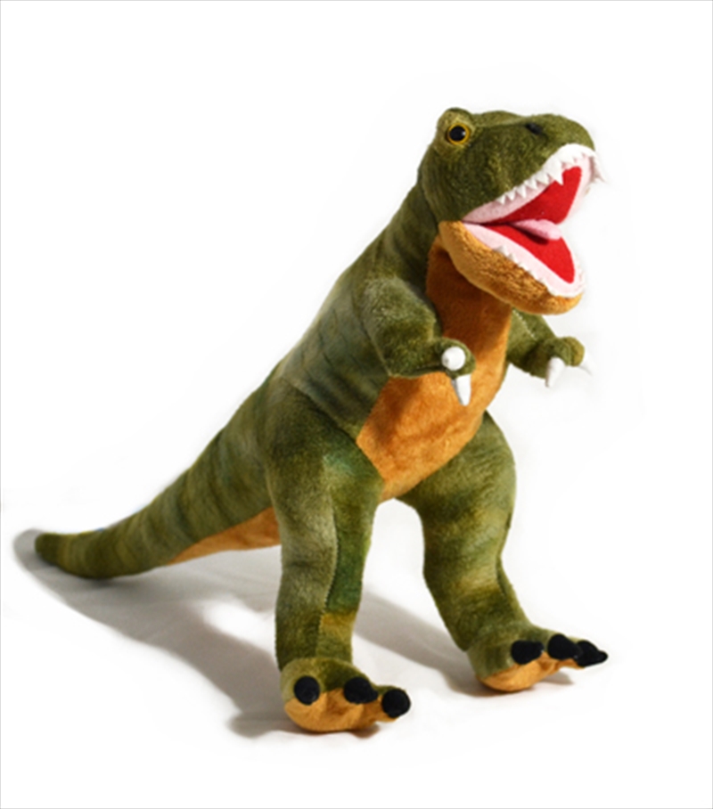 50cm Tyrannosaurus Rex/Product Detail/Plush Toys