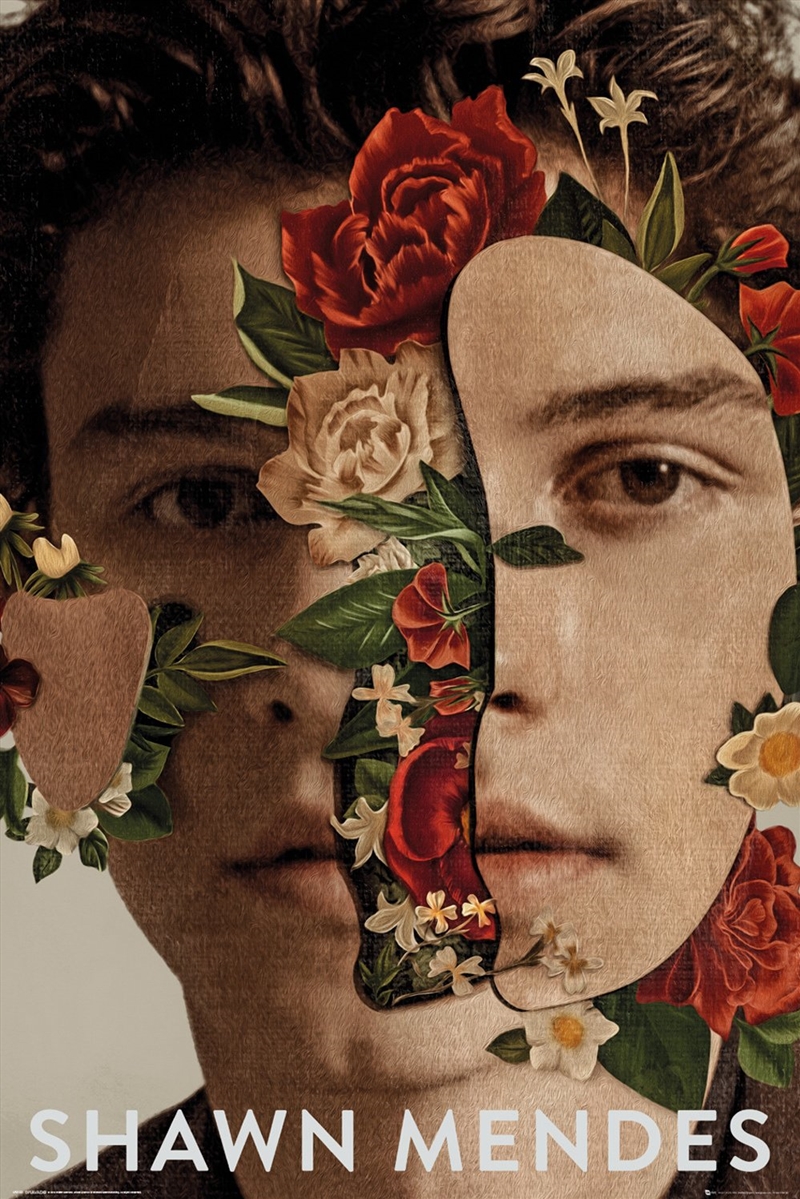 Shawn Mendes - Flowers/Product Detail/Posters & Prints