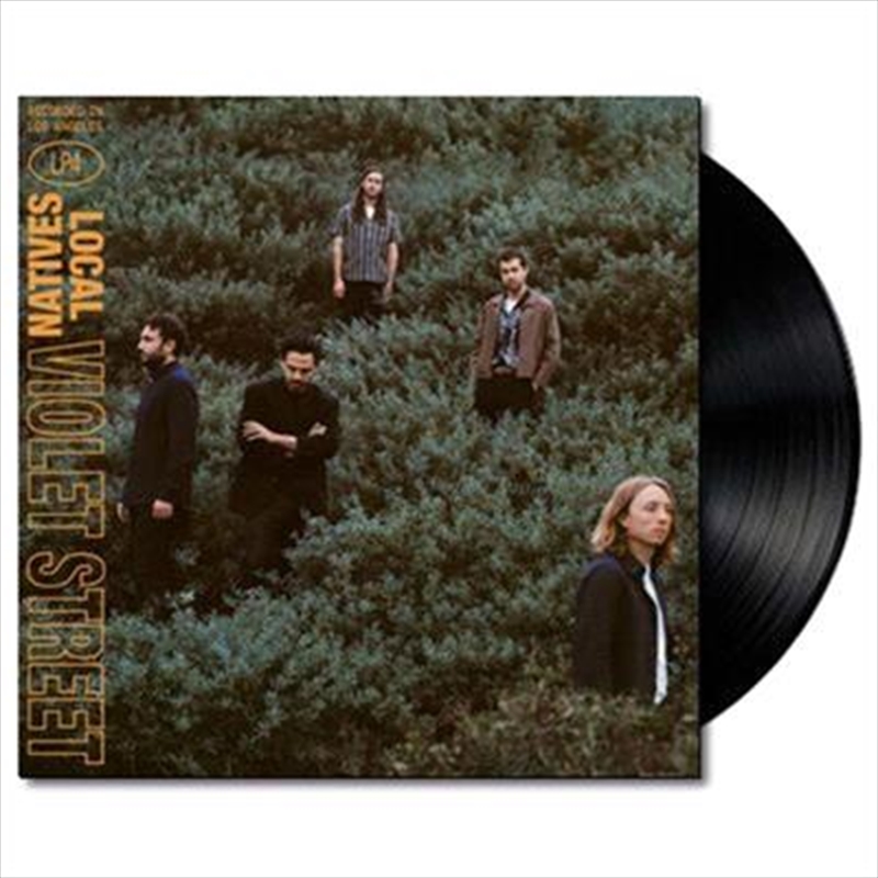 Violet Street/Product Detail/Alternative