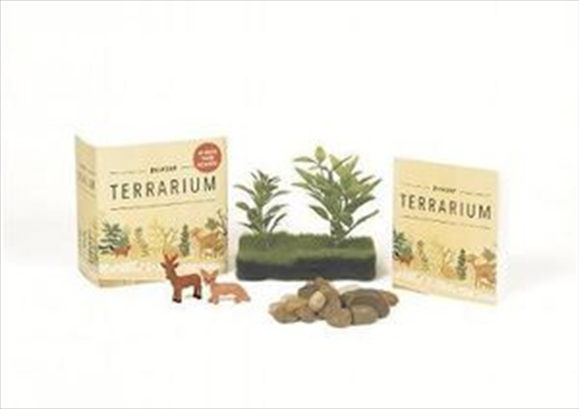 Desktop Terrarium/Product Detail/Table Top Games