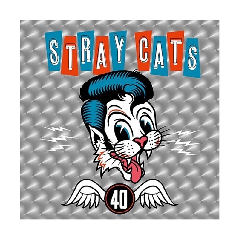 40/Product Detail/Rock