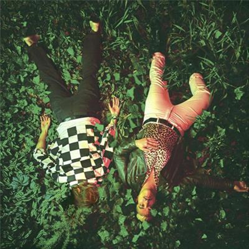 Iguana/Product Detail/Rock