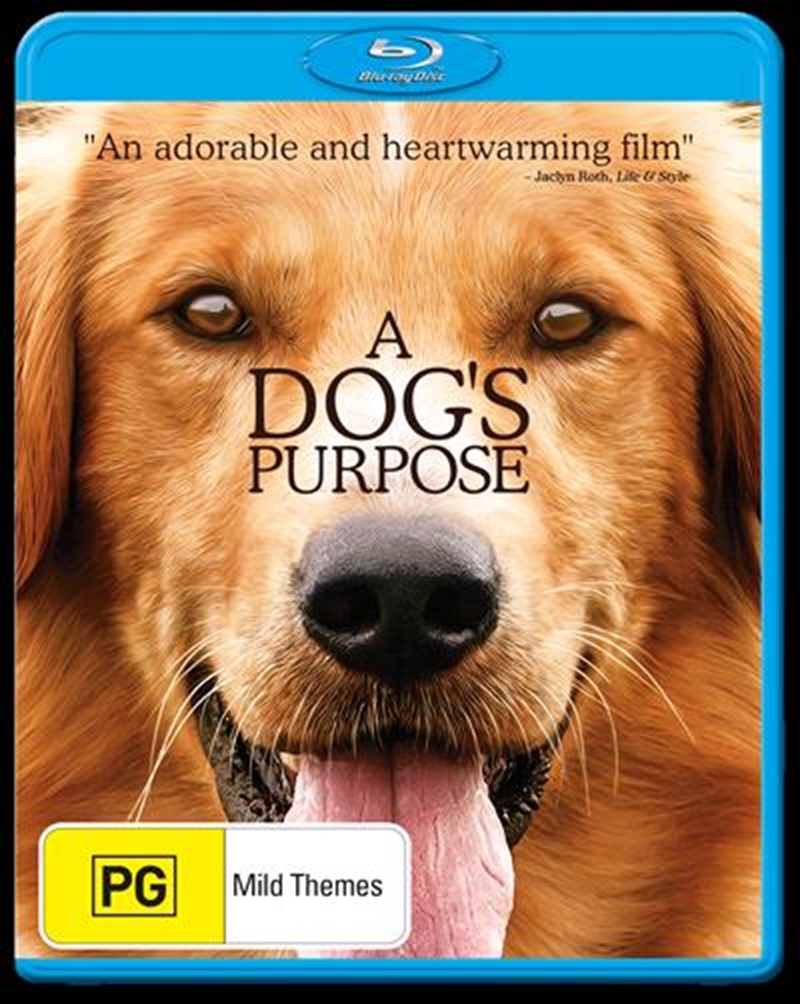 A Dogs Purpose/Product Detail/Drama