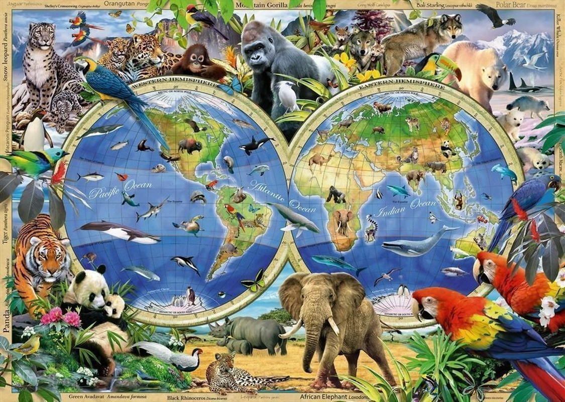Ravensburger - World of Wildlife Puzzle 1000 Pieces/Product Detail/Nature and Animals
