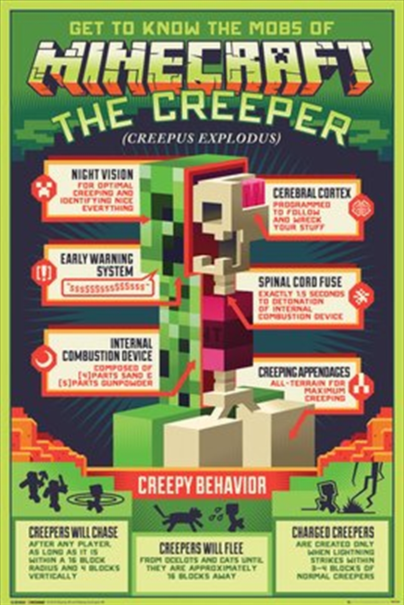 Minecraft Creepy Behaviour/Product Detail/Posters & Prints