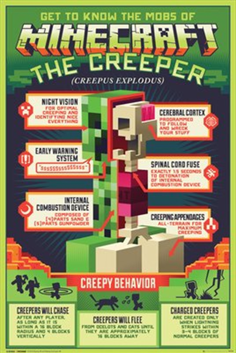 Minecraft Creepy Behaviour/Product Detail/Posters & Prints