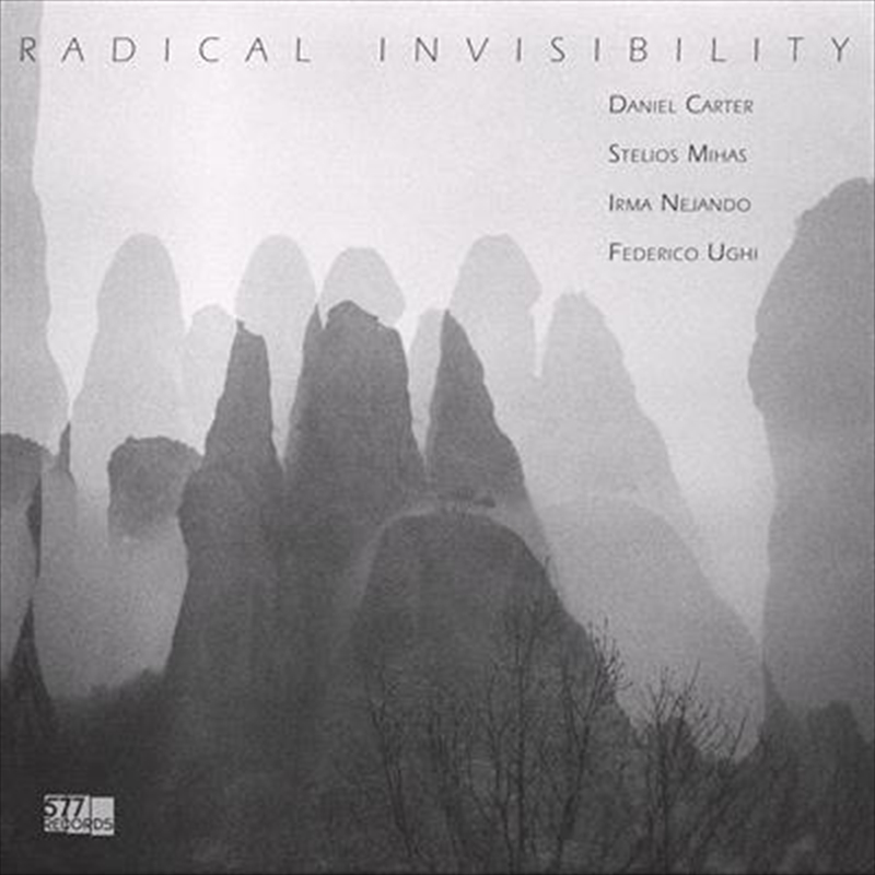 Radical Invisibility/Product Detail/Jazz