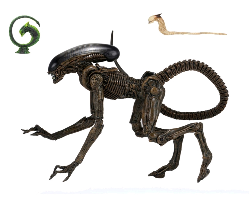 Alien - Dog Alien Ultimate 7" Action Figure/Product Detail/Figurines