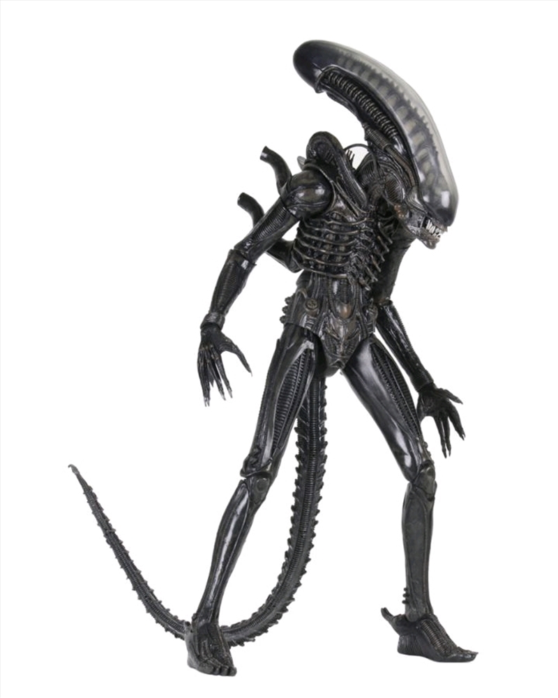 Alien - Big Chap 1:4 Scale Action Figure/Product Detail/Figurines