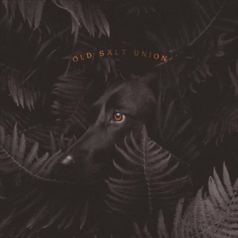 Where The Dogs Don't Bite/Product Detail/Rock