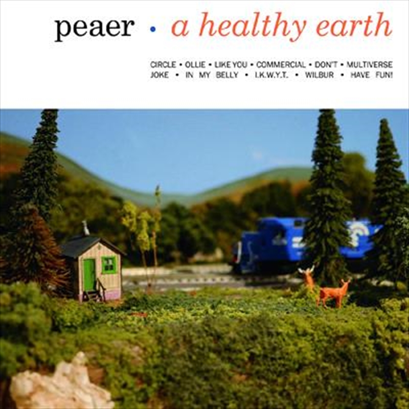 A Healthy Earth/Product Detail/Punk