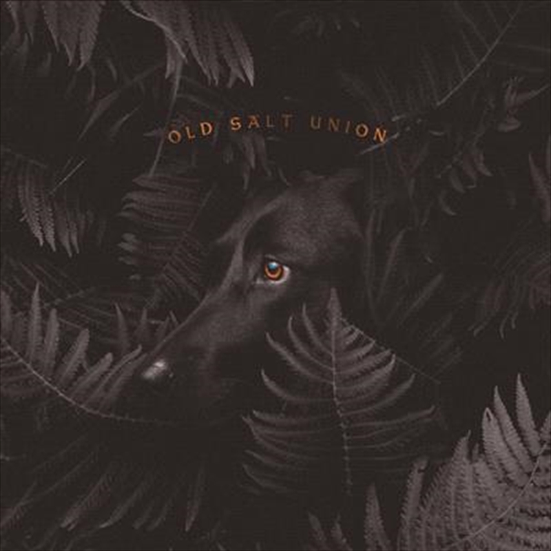 Where The Dogs Don't Bite - Limited Edition Orange Coloured Vinyl/Product Detail/Rock