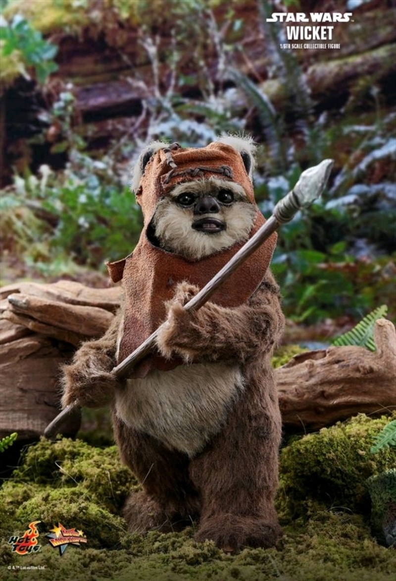 Star Wars - Wicket Return of the Jedi 1:6 Scale Acton Figure/Product Detail/Figurines