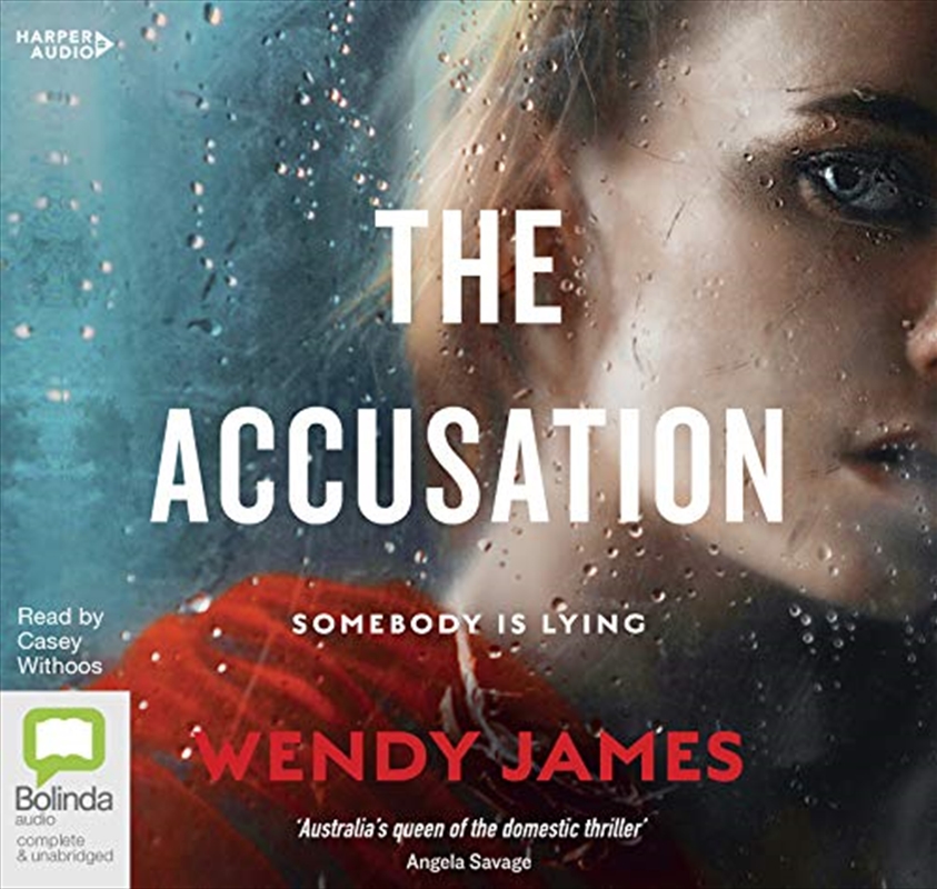 The Accusation/Product Detail/Thrillers & Horror Books