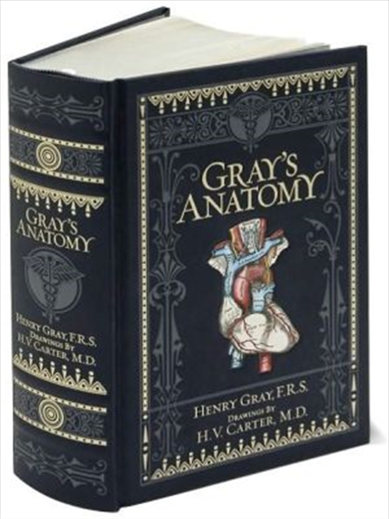 Gray's Anatomy/Product Detail/Reading