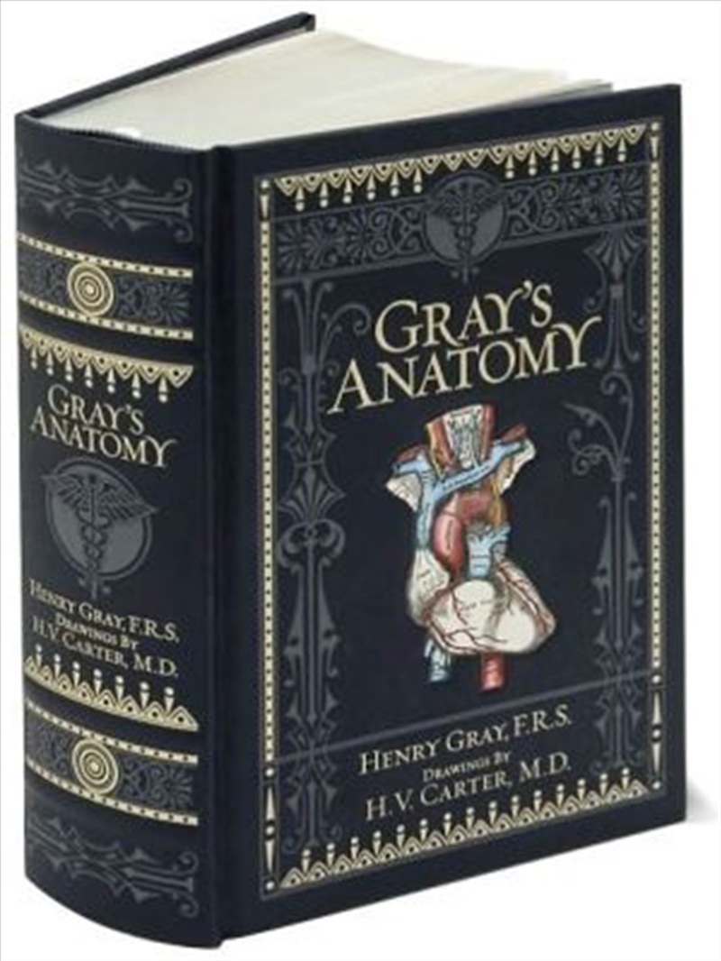 Gray's Anatomy/Product Detail/Reading