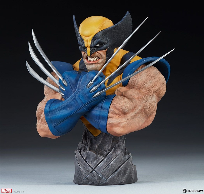 X-Men - Wolverine 9" Bust/Product Detail/Statues