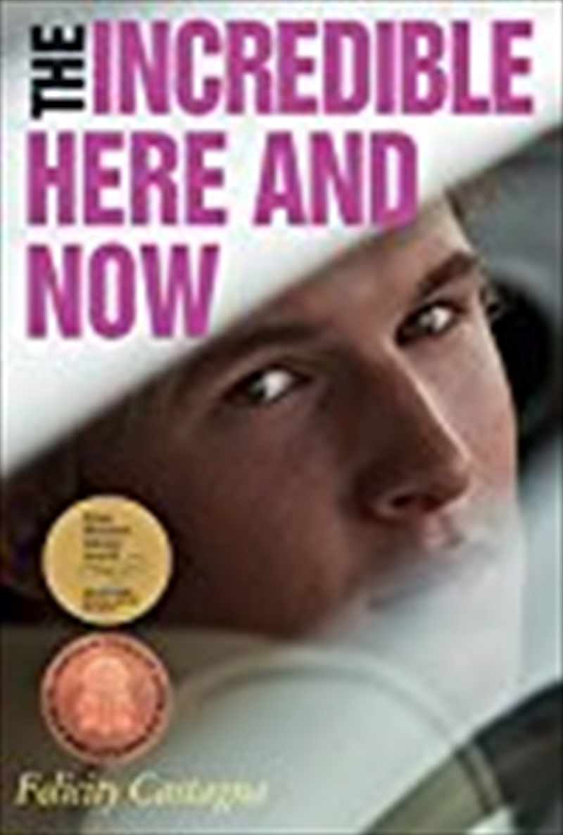 The Incredible Here And Now/Product Detail/Childrens Fiction Books