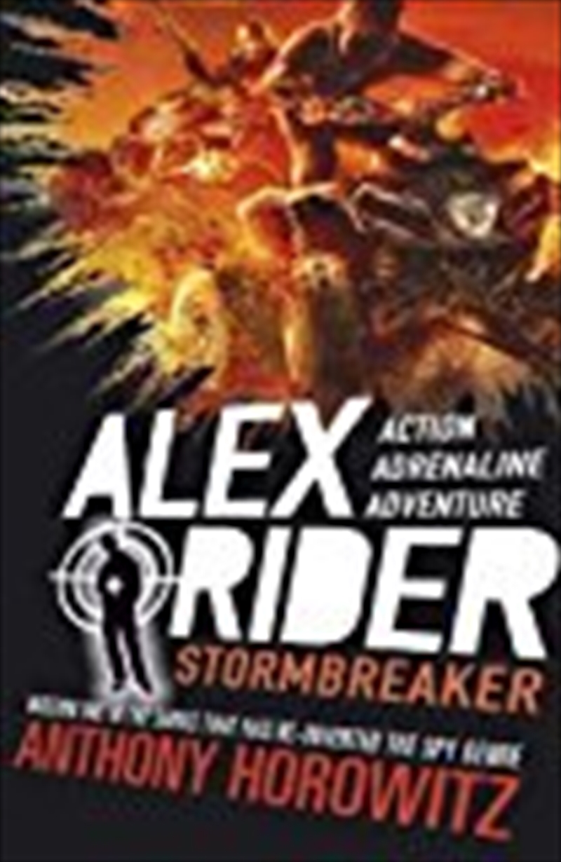 Stormbreaker/Product Detail/Childrens Fiction Books