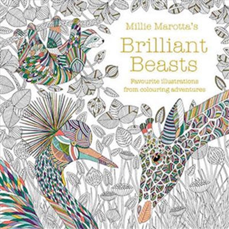 Millie Marotta's Brilliant Beasts/Product Detail/Arts & Entertainment