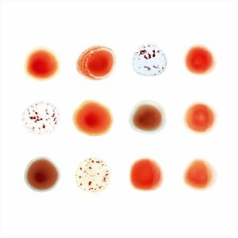 Buy Peter Gabriel Scratch My Back on CD On Sale Now