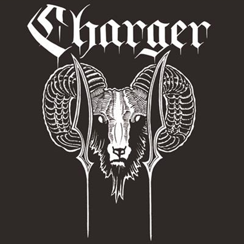 Charger/Product Detail/Punk