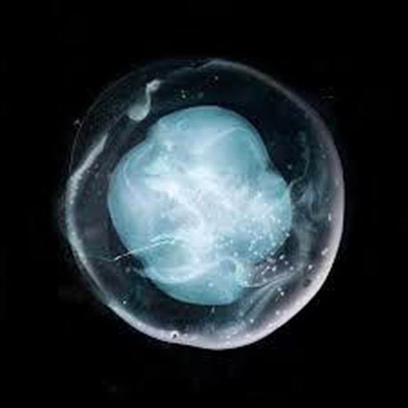 Undivided Five/Product Detail/Alternative