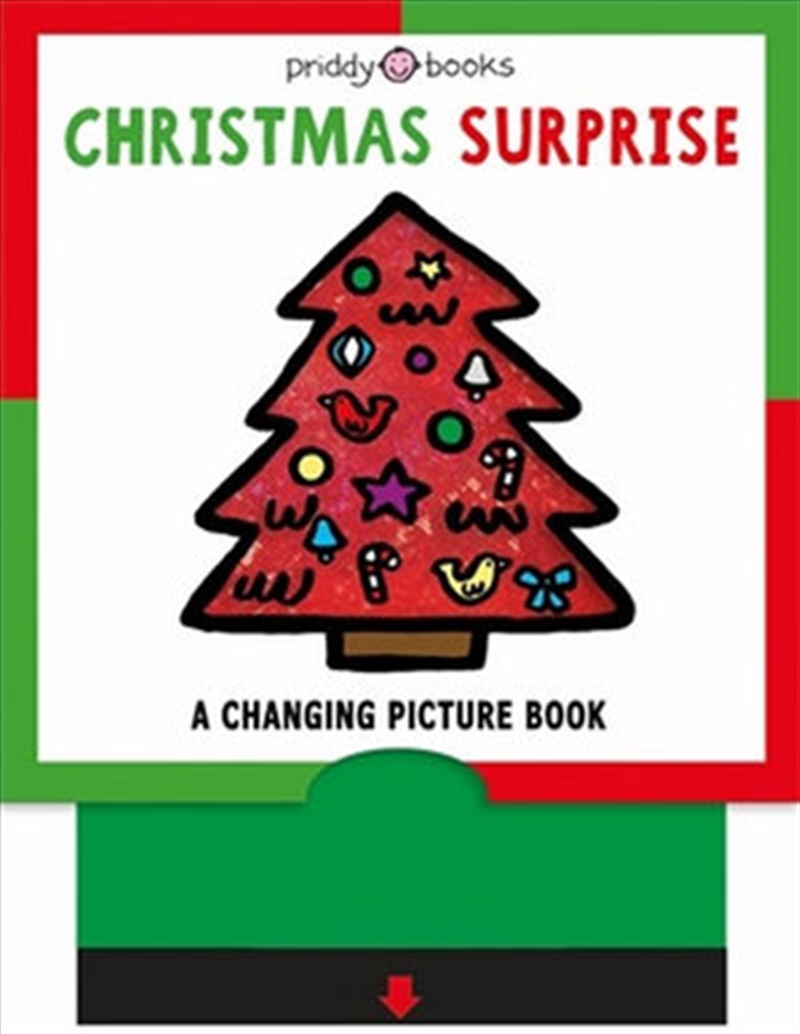 Christmas Surprise - Changing Picture Book/Product Detail/Childrens