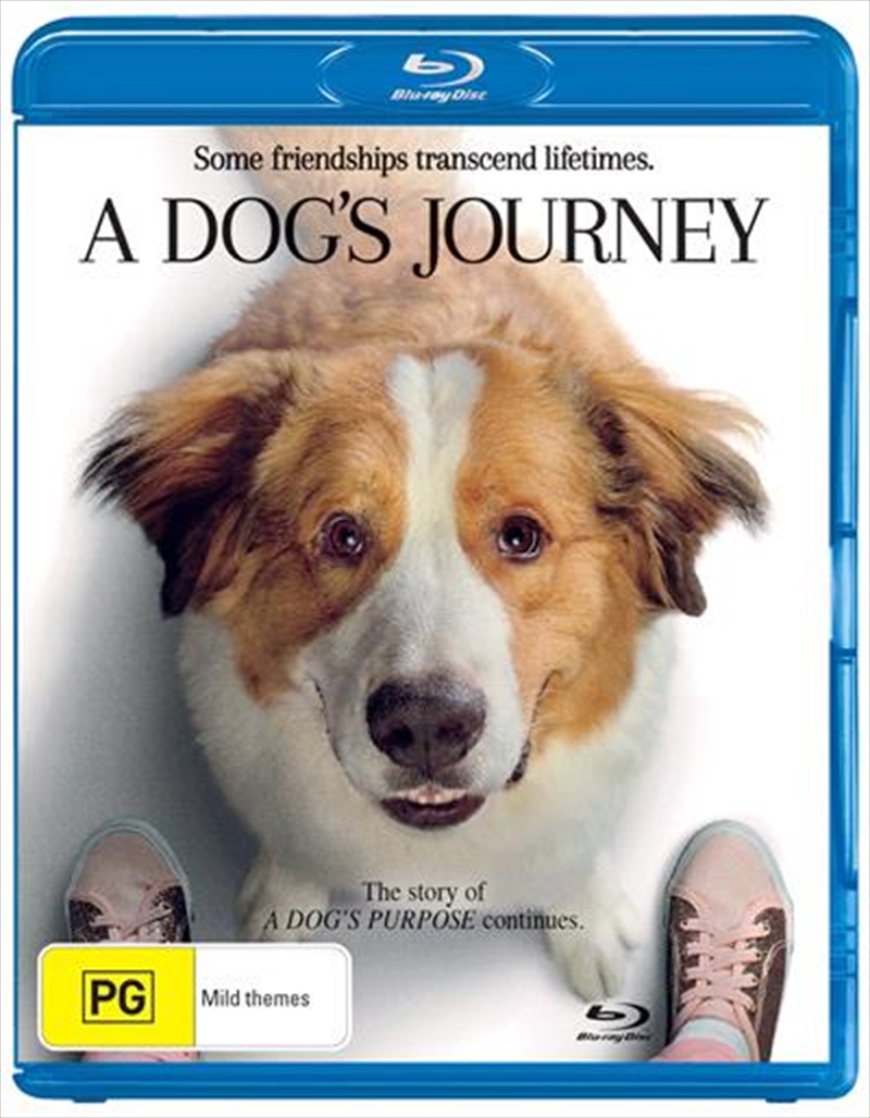 A Dog's Journey/Product Detail/Drama