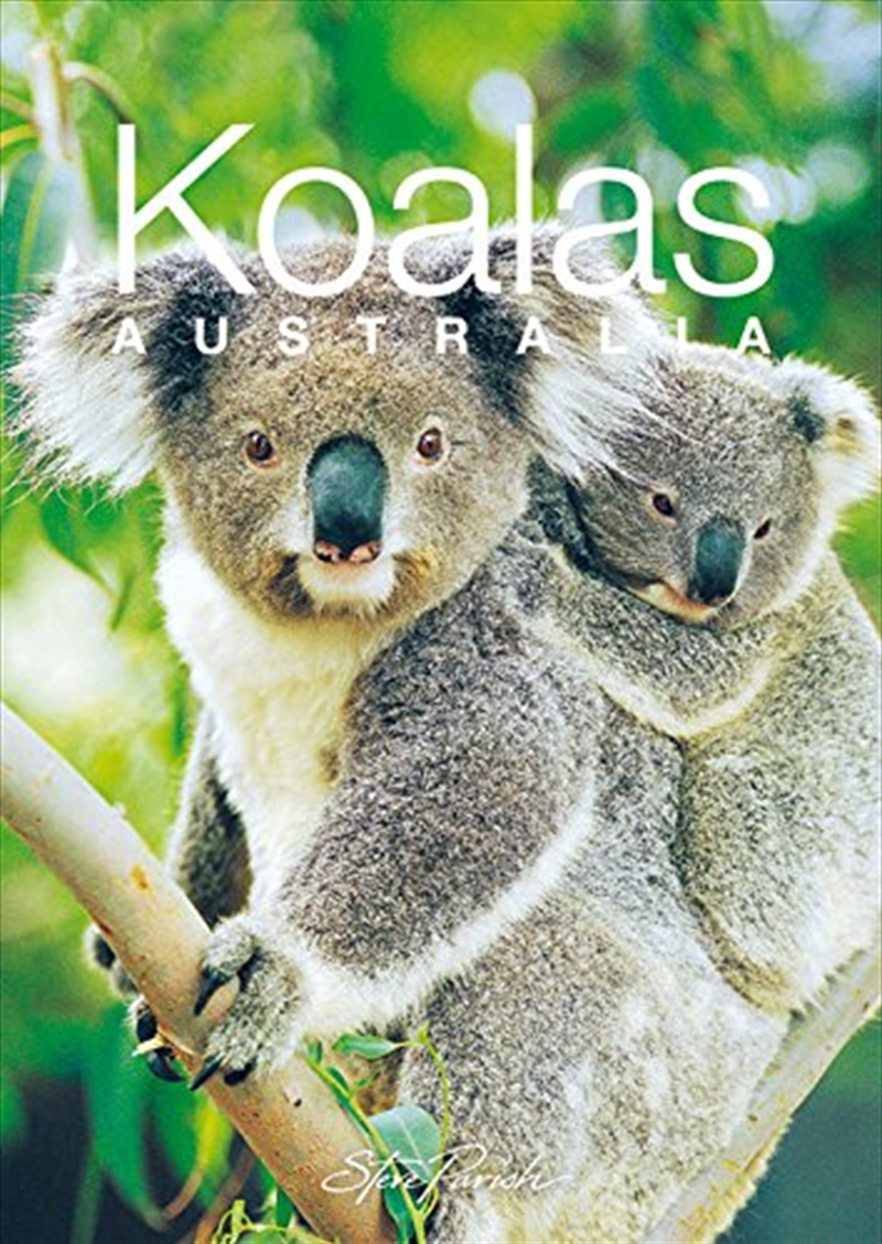 Steve Parish Mini Souvenir Book: Koalas, Australia/Product Detail/Reading
