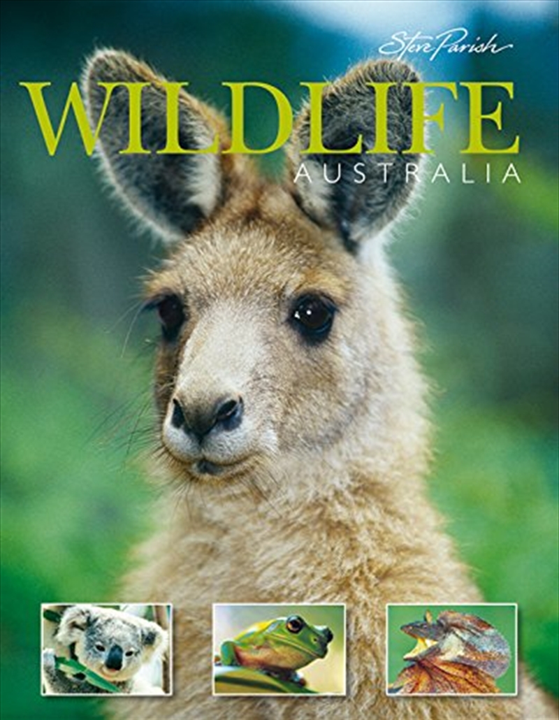 Steve Parish Souvenir Picture Book: Wildlife, Australia/Product Detail/Reading