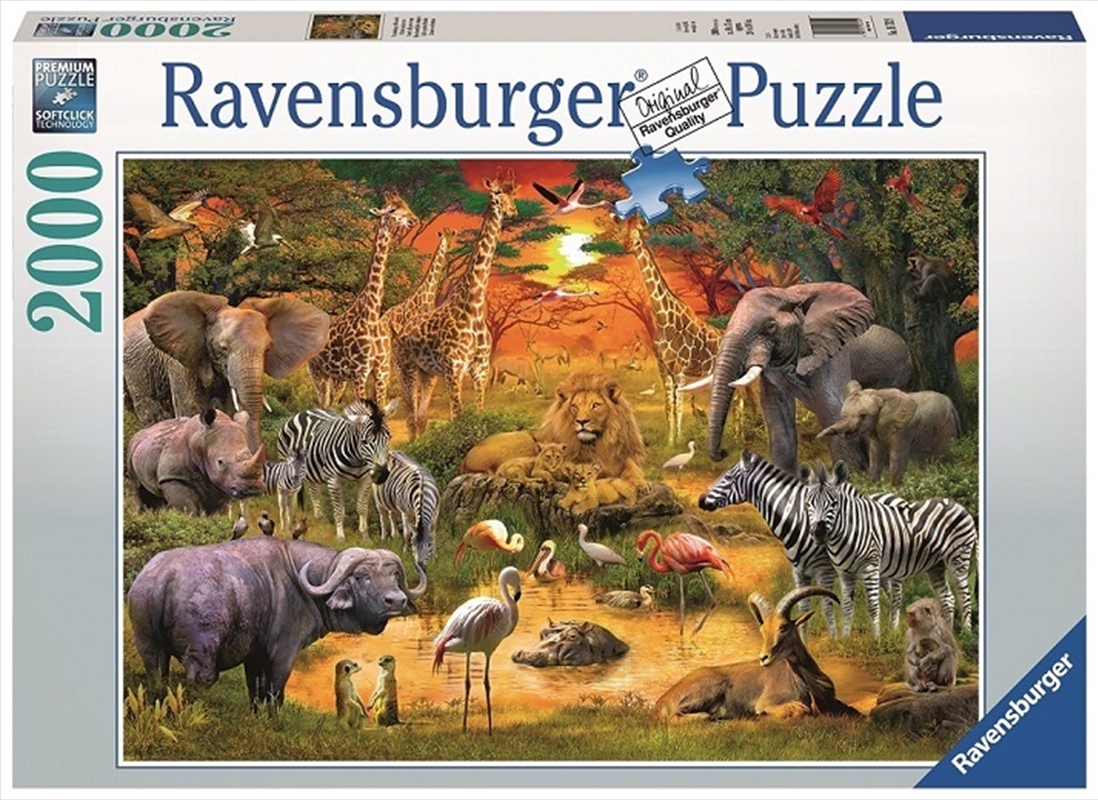 Ravensburger - 2000pc Gathering at the Waterhole Jigsaw Puzzle/Product Detail/Destination