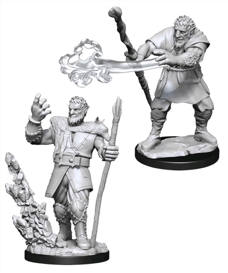 Dungeons & Dragons - Nolzur's Marvelous Unpainted Minis: Male Firbolg Druid/Product Detail/RPG Games