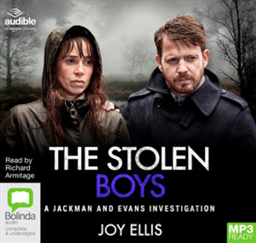 The Stolen Boys/Product Detail/Crime & Mystery Fiction
