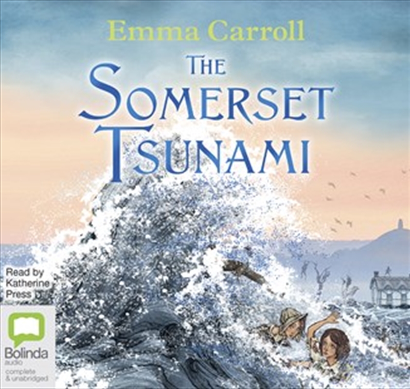 The Somerset Tsunami/Product Detail/Childrens Fiction Books